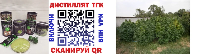 где продают наркотики  Терек  Еда ТГК конопля 