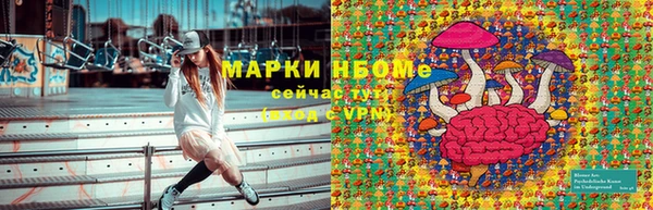бошки Краснослободск