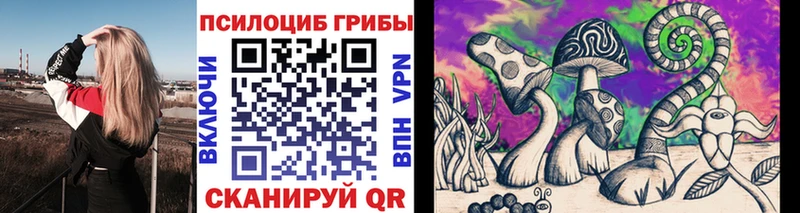купить наркоту hydra как войти Галлюциногенные грибы MAGIC MUSHROOMS Терек
